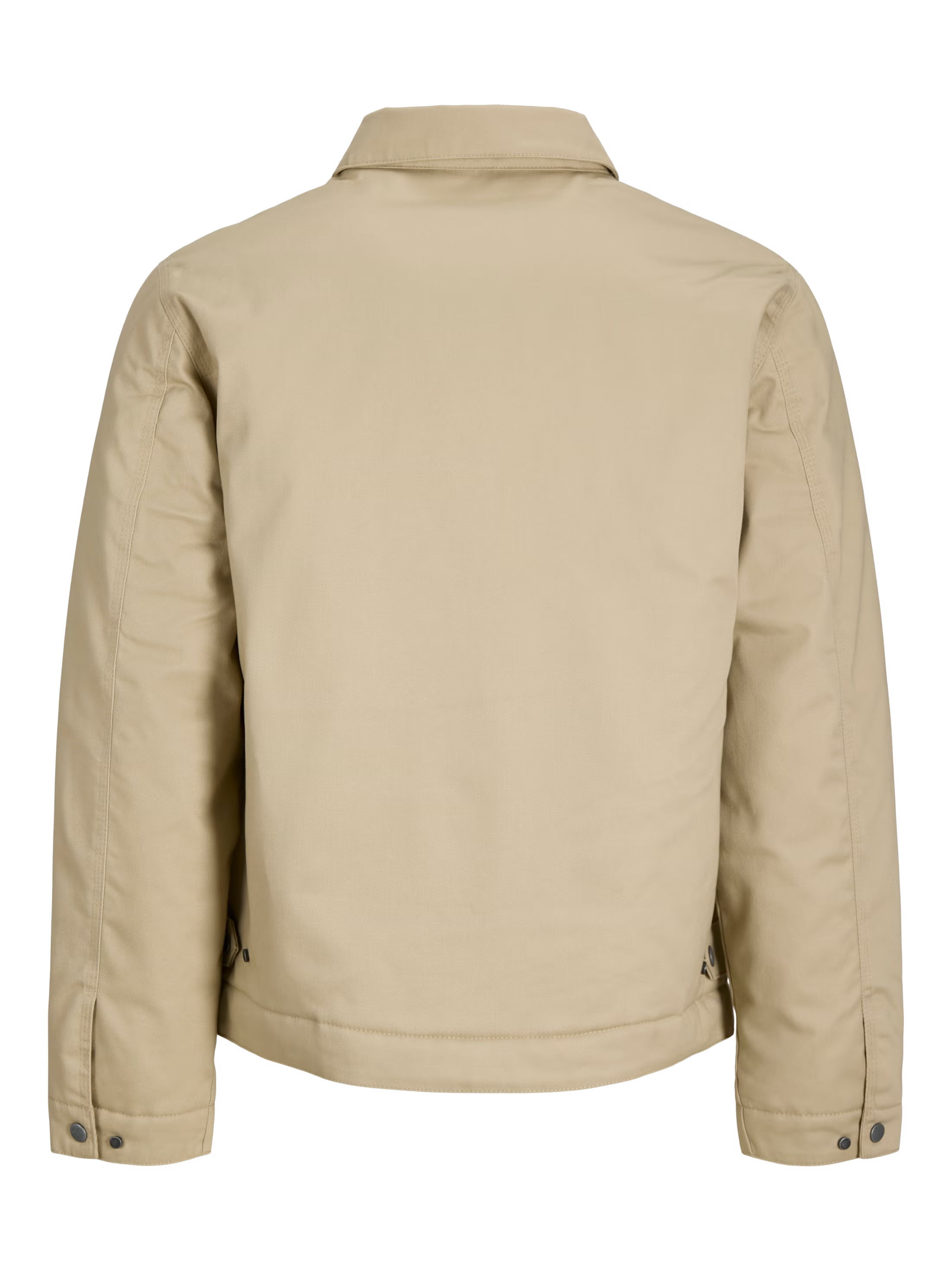 Jack&Jones Colton Padded classic workwear Jacket in Beige / Fields Of Rye