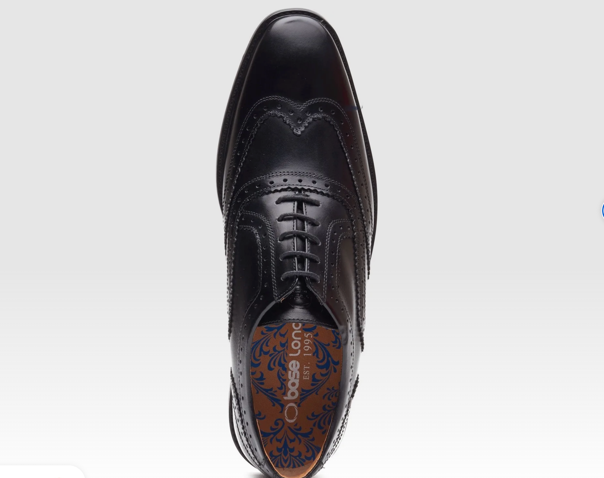 Base London Clarence Brougue Shoes - Black