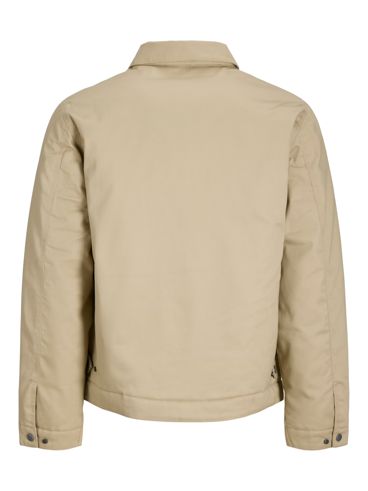 Jack&Jones Colton Padded classic workwear Jacket in Beige / Fields Of Rye