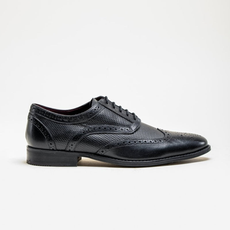 HOUSE OF CAVANI Orleans Brogue Shoe - BLACK