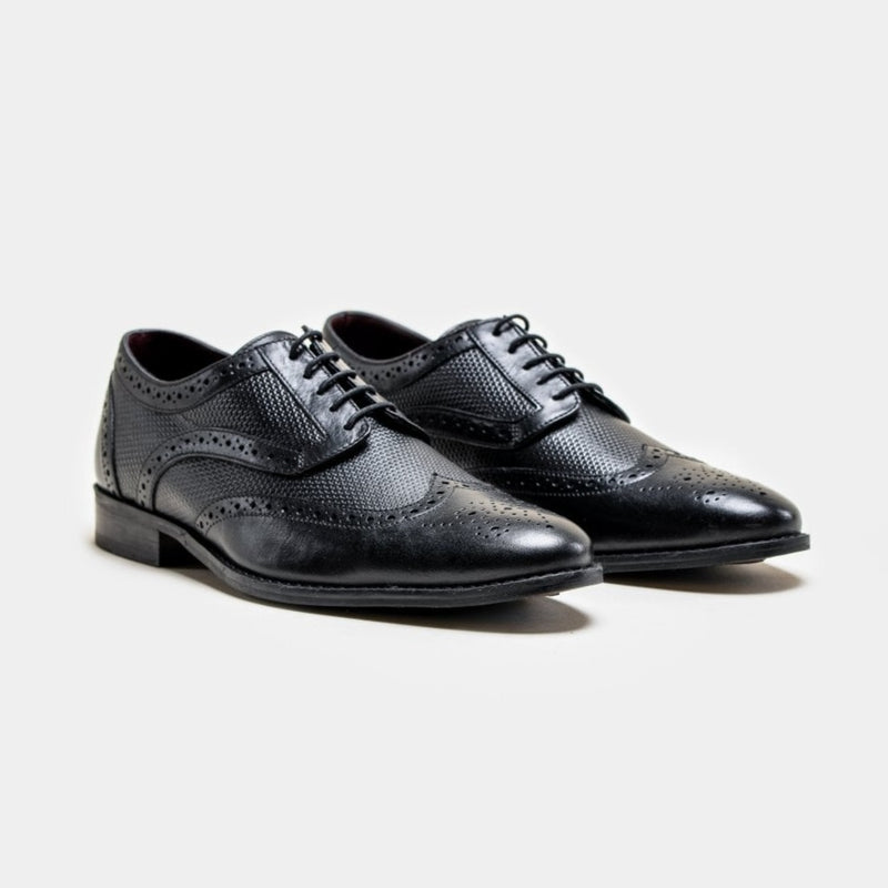 HOUSE OF CAVANI Orleans Brogue Shoe - BLACK